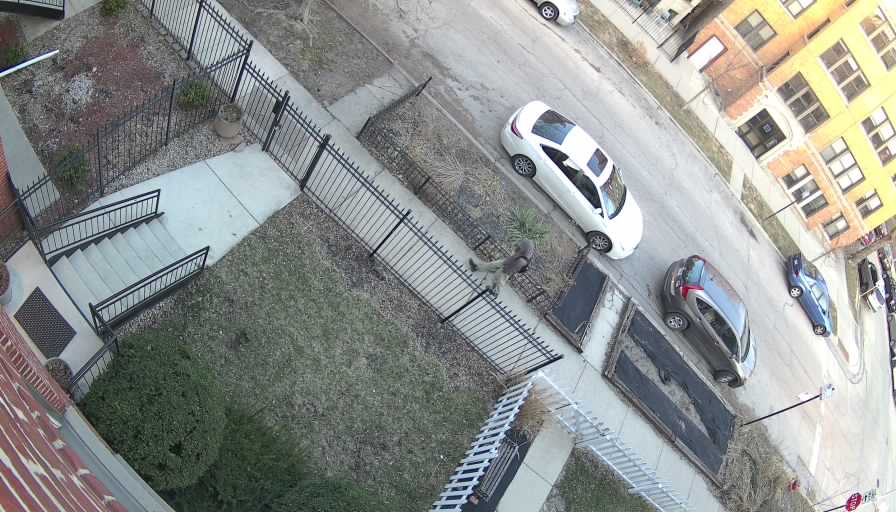 Reolink Camera Two_01_Reolink Home Hub One_20260321190147.jpg